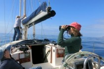 Una dona a una embarcació, mirant l'horitzó amb uns prismàtics